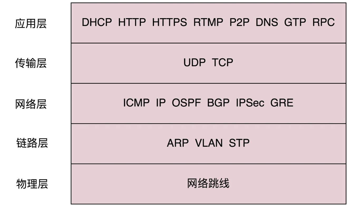 image-20250207160612345